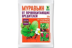 Муравьин-1